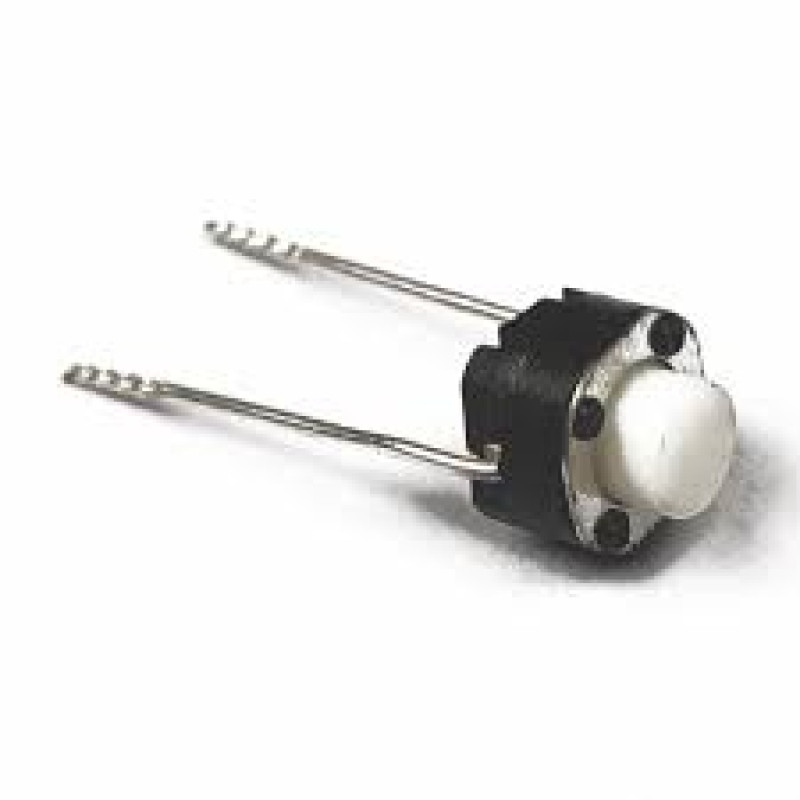 Push Button 2 Pin